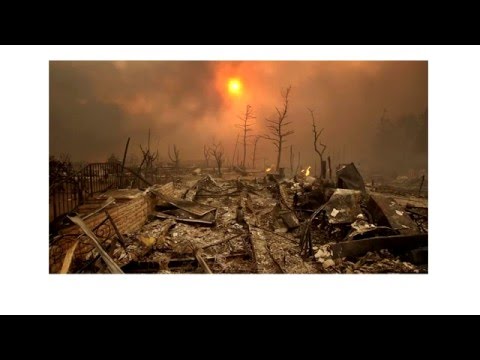 Лярвоведение часть 1