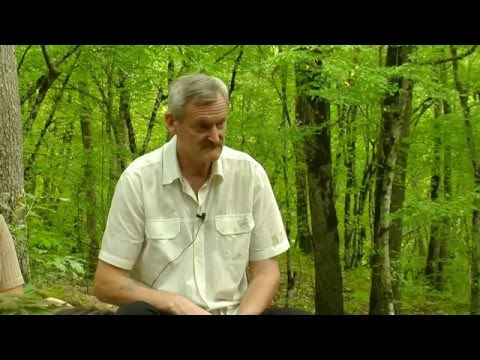 Встреча у дольменов, А.Саврасов, 1 серия, 2013 год