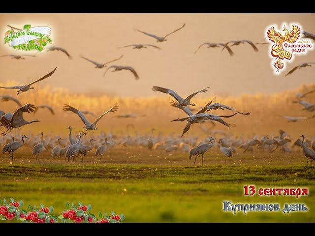 Братья Месяцы.13 сентября - Куприянов день