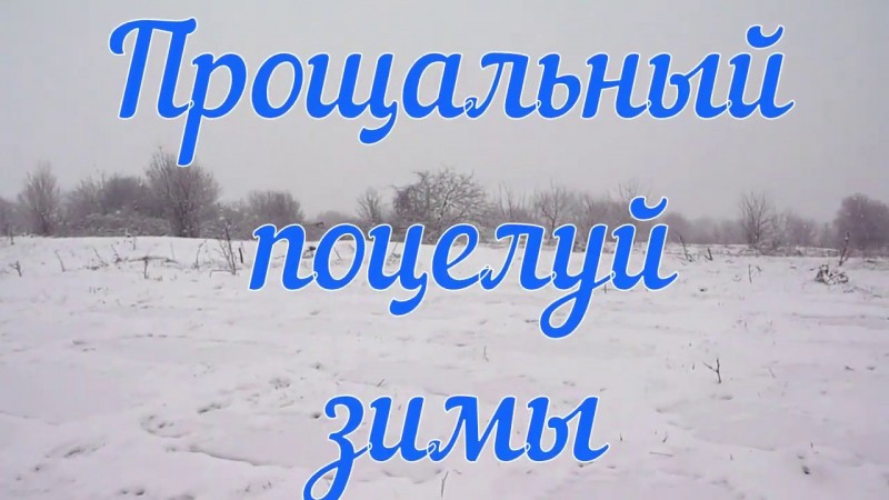 Прощальный поцелуй зимы