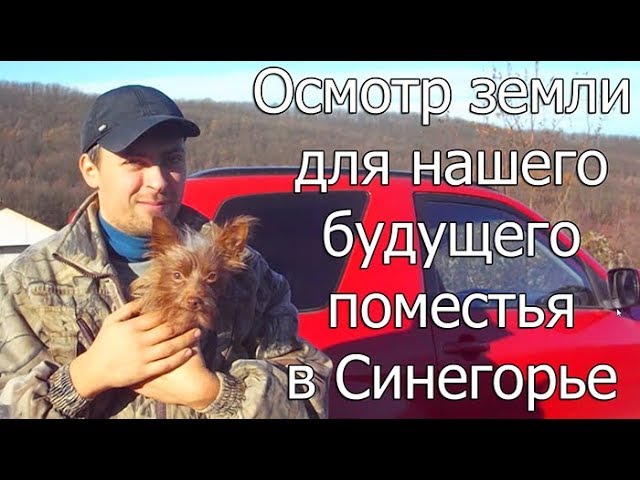 Осмотр земли для нашего будущего поместья в Синегорье