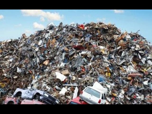 Люди стали паразитами на теле Земли. Светлана Жарникова