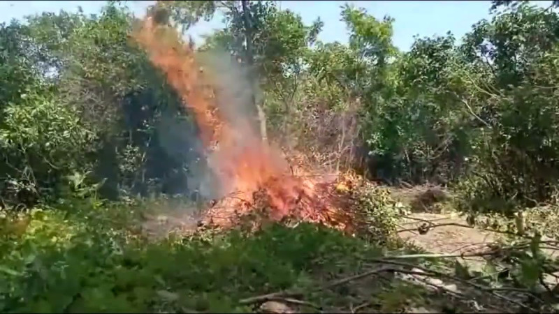 Практика Защиты от Павла