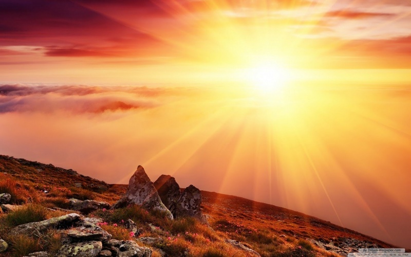 Академия развития интуиции. "Жрецы Солнца" Рудаков Сергей  (2016)