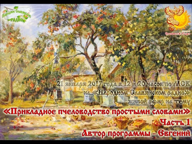 Прикладное пчеловодство простыми словами  Часть 1