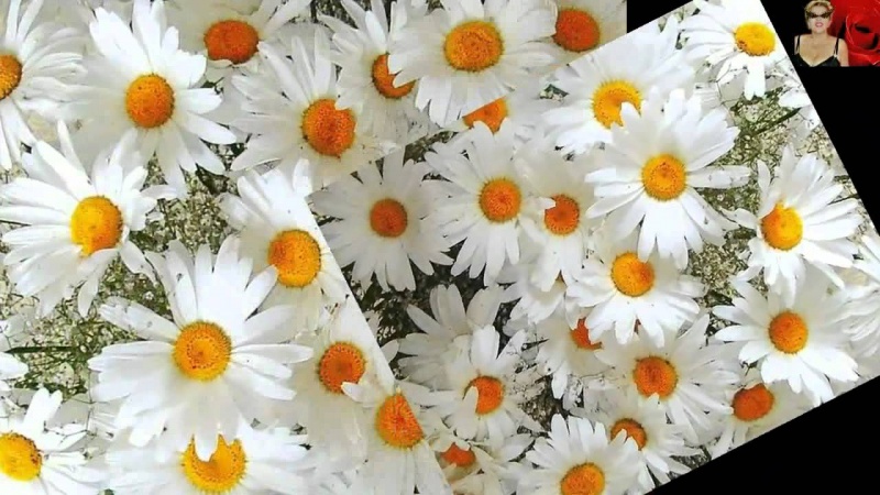 Группа Дядя Боря..Эх, Наташка..