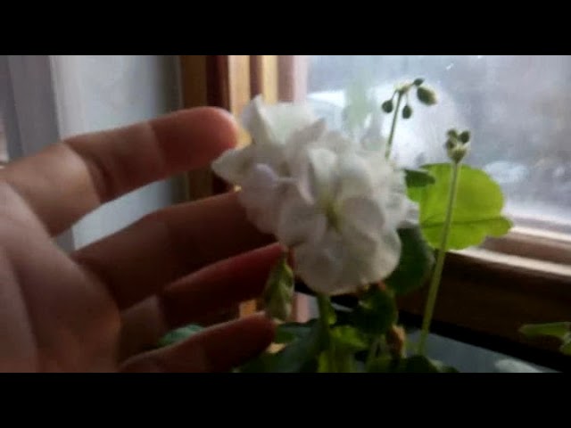 В Общем о Многом Разном