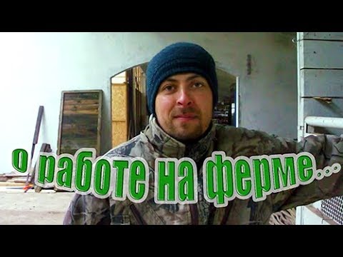 Немного о работе на ферме...