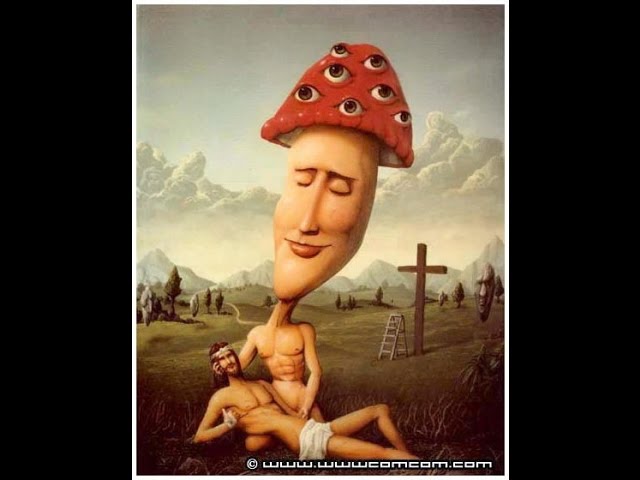 Очищение мухомором тела и сознания  Забытая истина