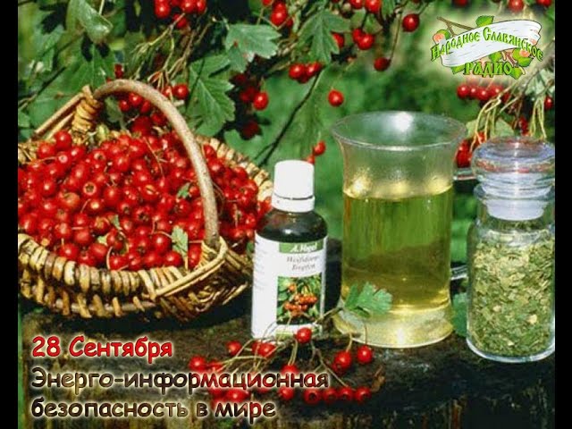 Энерго информационная безопасность в мире