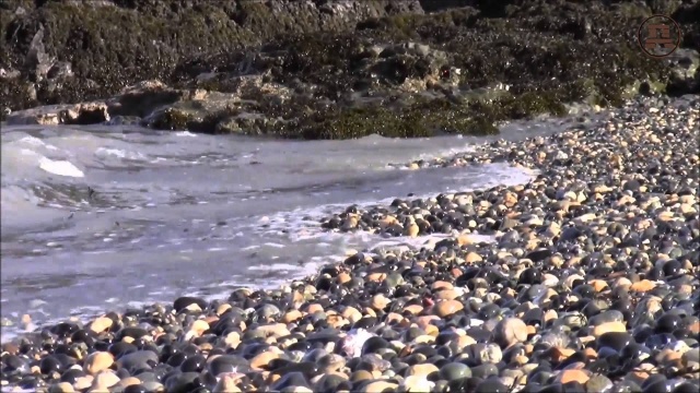 Мячи, в которые играли Боги. Остров Чамп