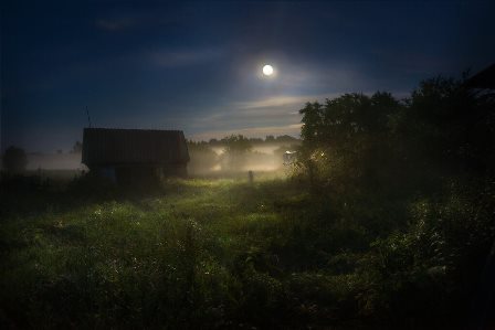 В деревенской забвенной глуши...