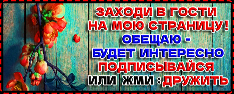ДОБРО ПОЖАЛОВАТЬ МОИ ДРУЗЬЯ ! ДОБРО ПОЖАЛОВАТЬ МОИ ДРУЗЬЯ !